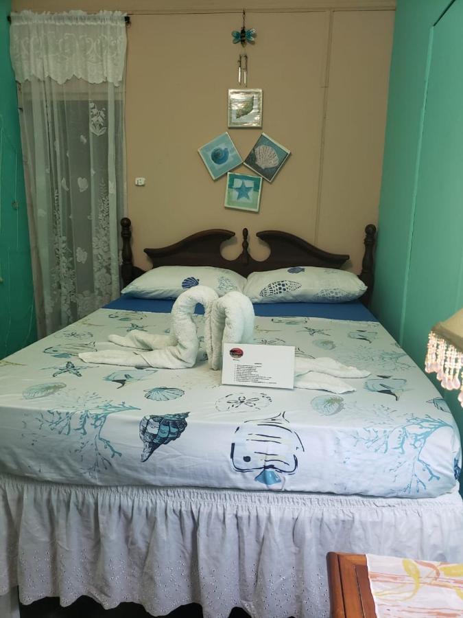 Posada Nativa Trinsan Centro San Andrés Kültér fotó